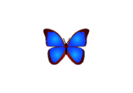 bkViewer v8.5d 最新版 – 看图软件-蚂蚁分享网
